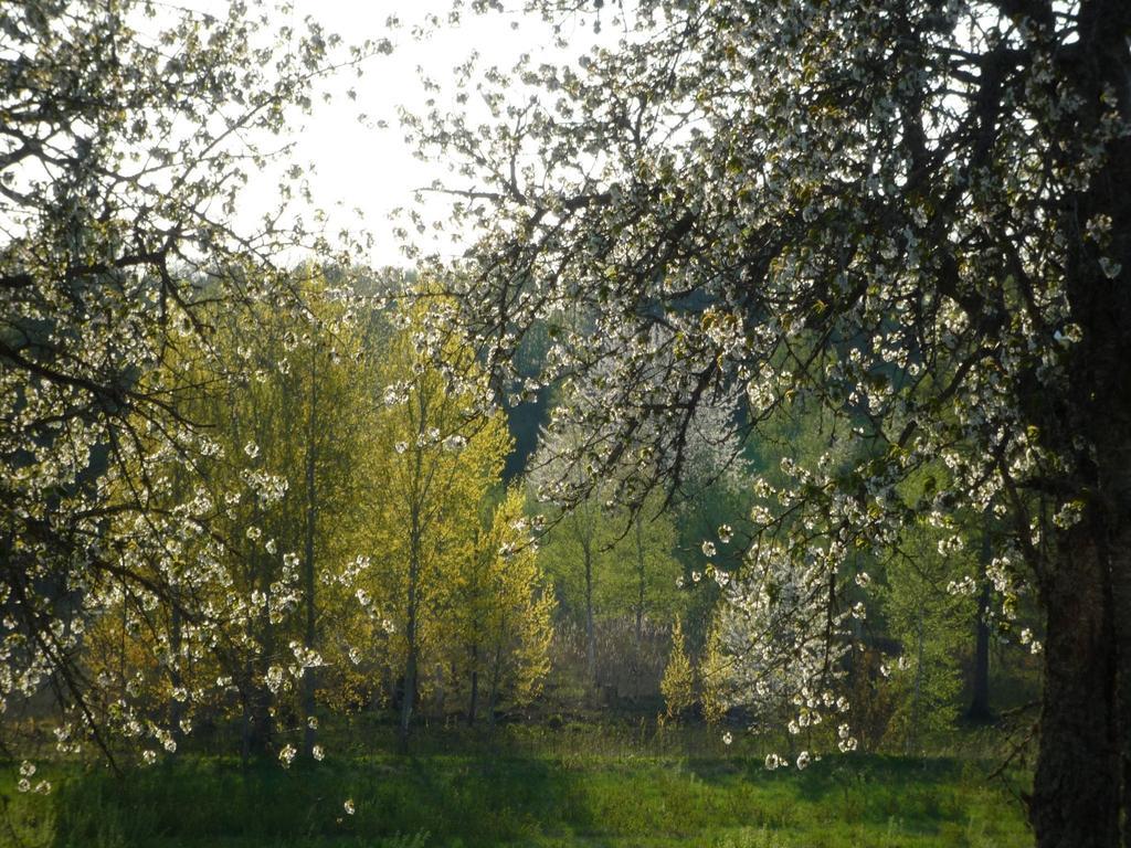 Valle Vandrarhem Axvall Bagian luar foto